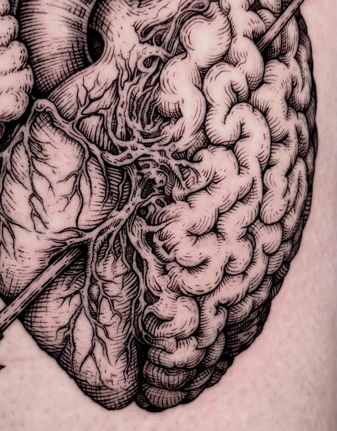 Tattoo by @krueger.ink — black_and_grey, realism