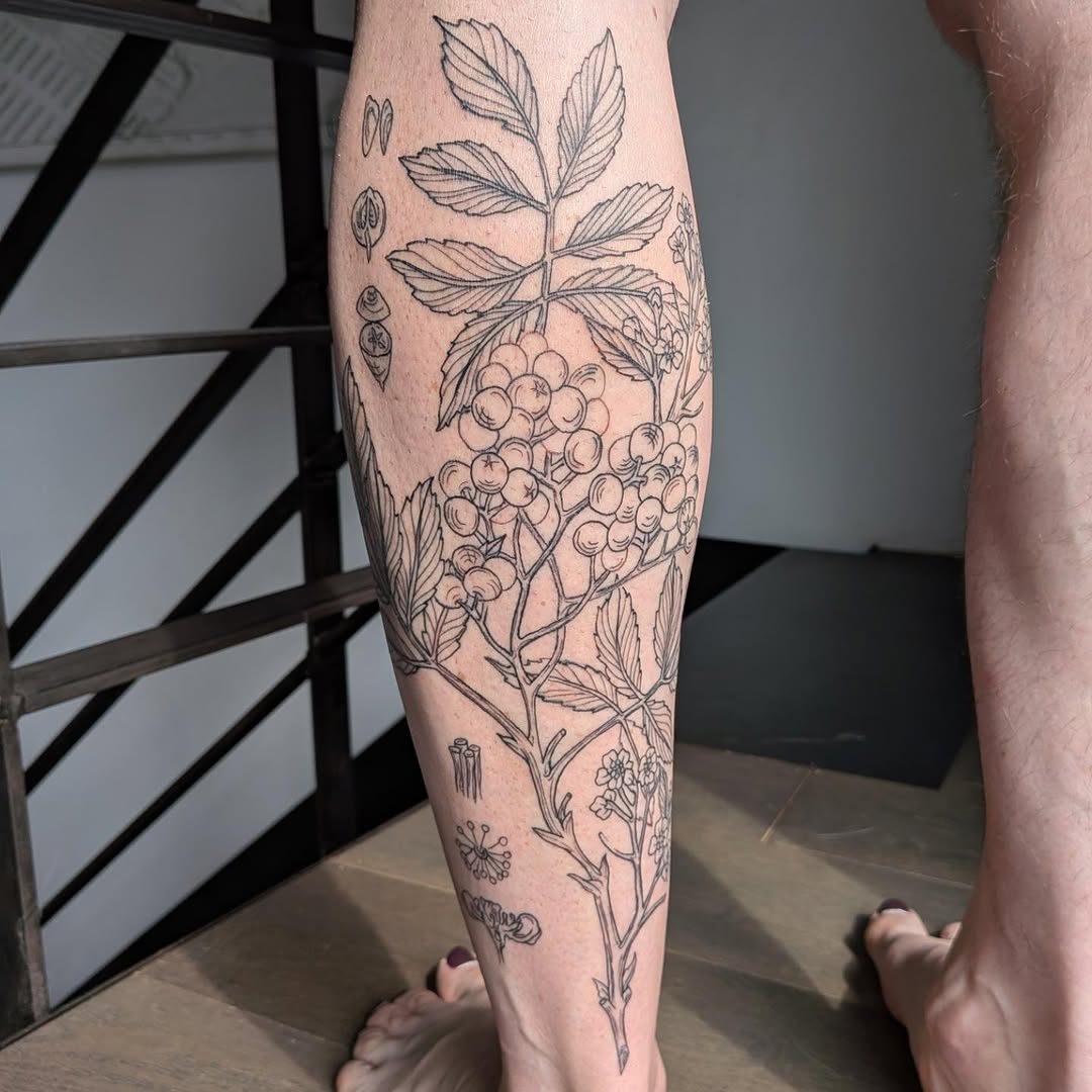 Tattoo by @jessica_kloostattoos — illustrative, fine_line