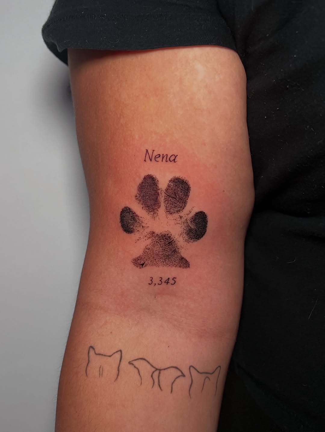Tattoo by @eleana_tattooart — fine_line