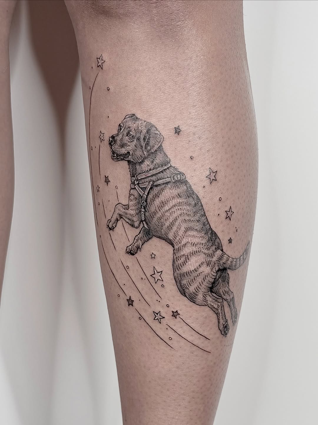 Tattoo by @miss.rage.tattoos — black_and_grey