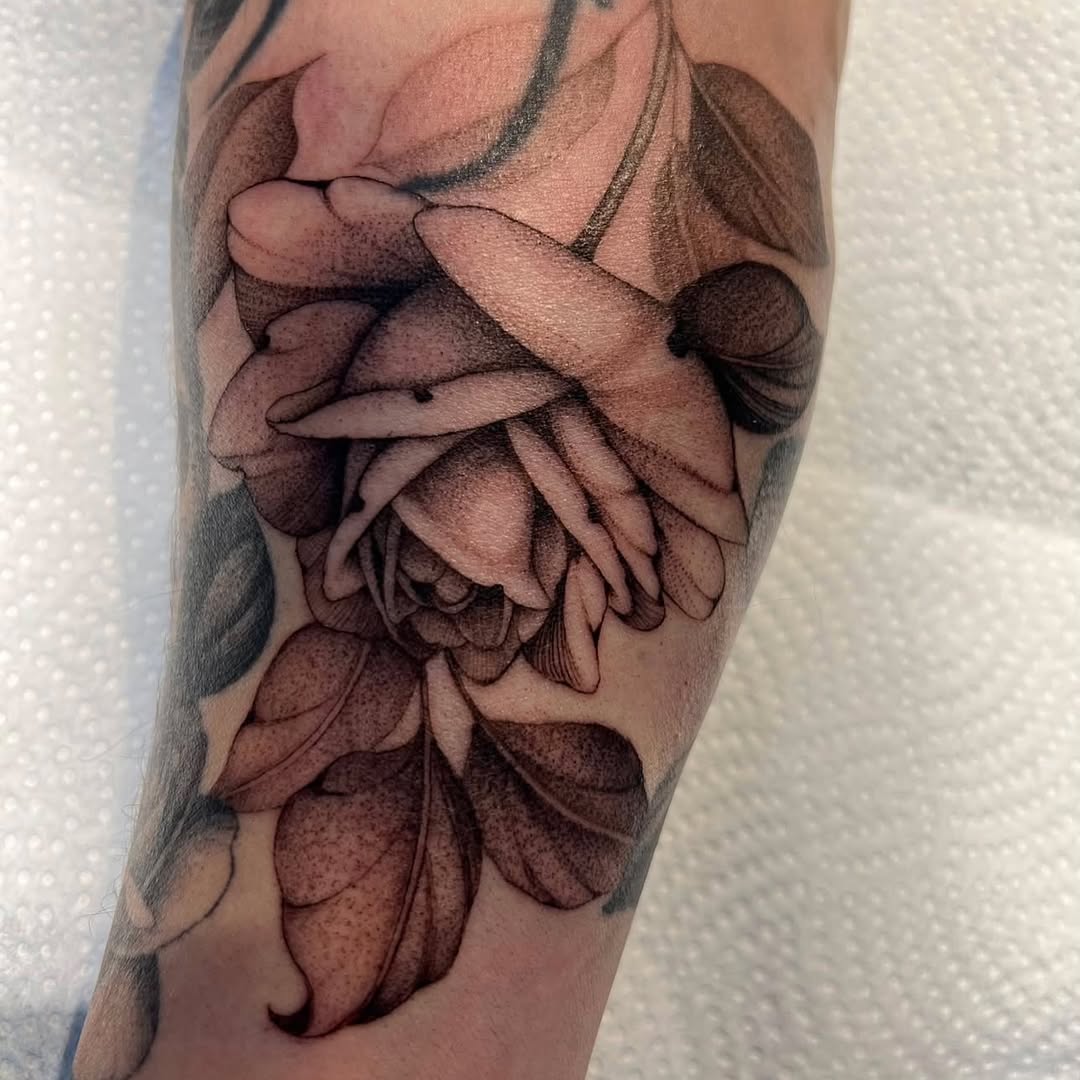 Tattoo by @juliannamenna — black_and_grey, dotwork