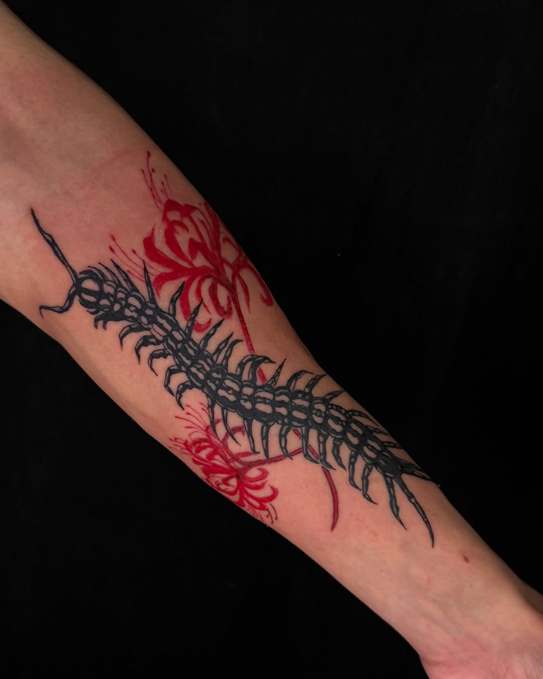 Tattoo by @isa.tats — illustrative, dark_realism