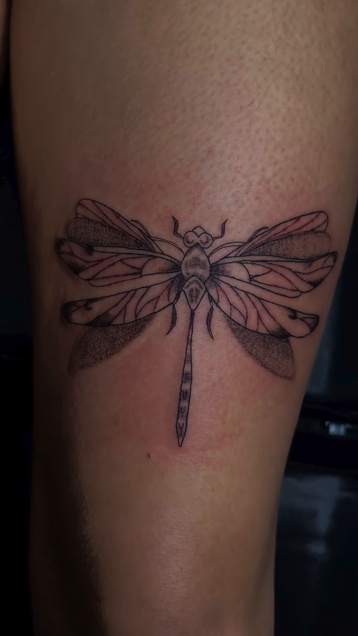 Tattoo by @dojolv — fine_line, illustrative