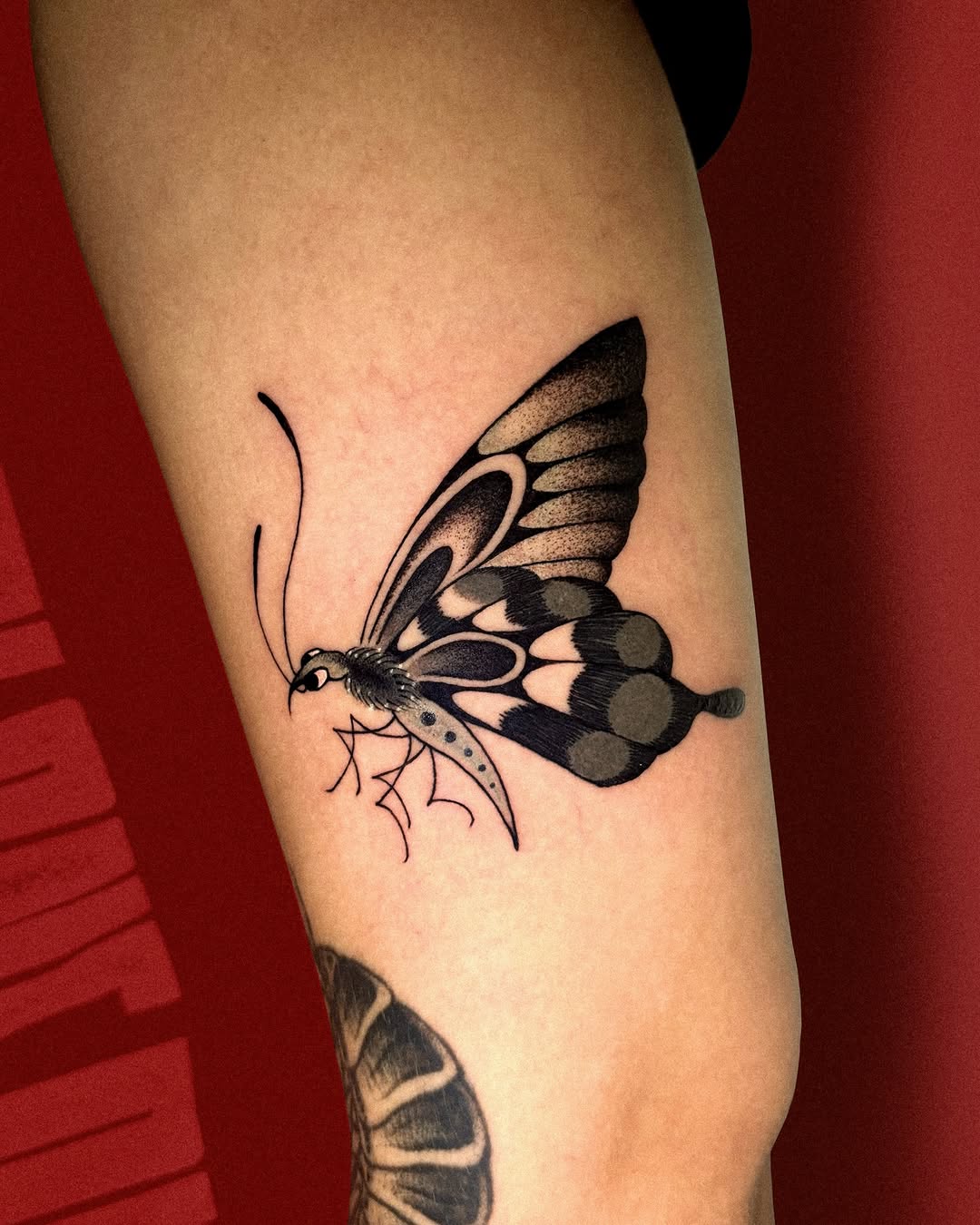 Tattoo by @dayninestattoo — black_and_grey, dotwork