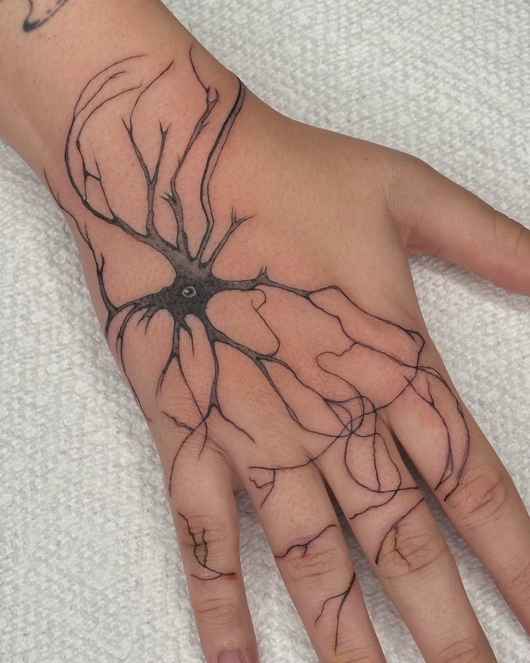 Tattoo by @lilskelevine.tt — fine_line, black_and_grey