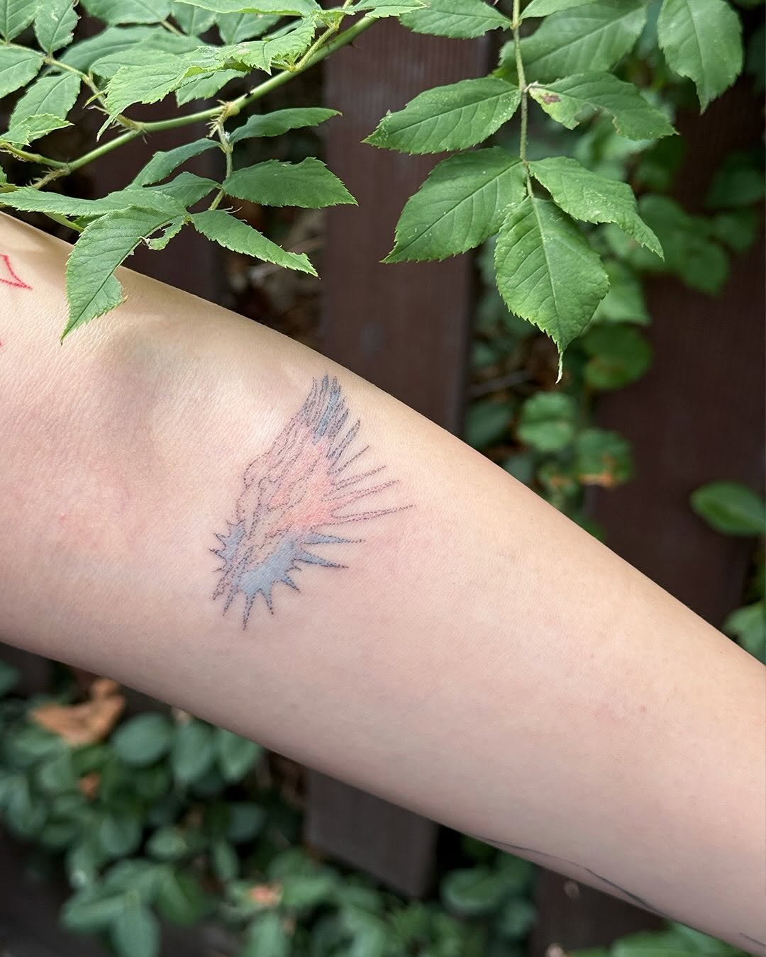 Tattoo by @gimgingi — fine_line, sketch