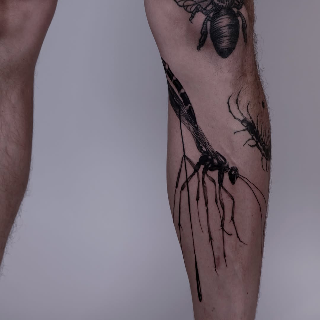 Tattoo by @themanedias — black_and_grey
