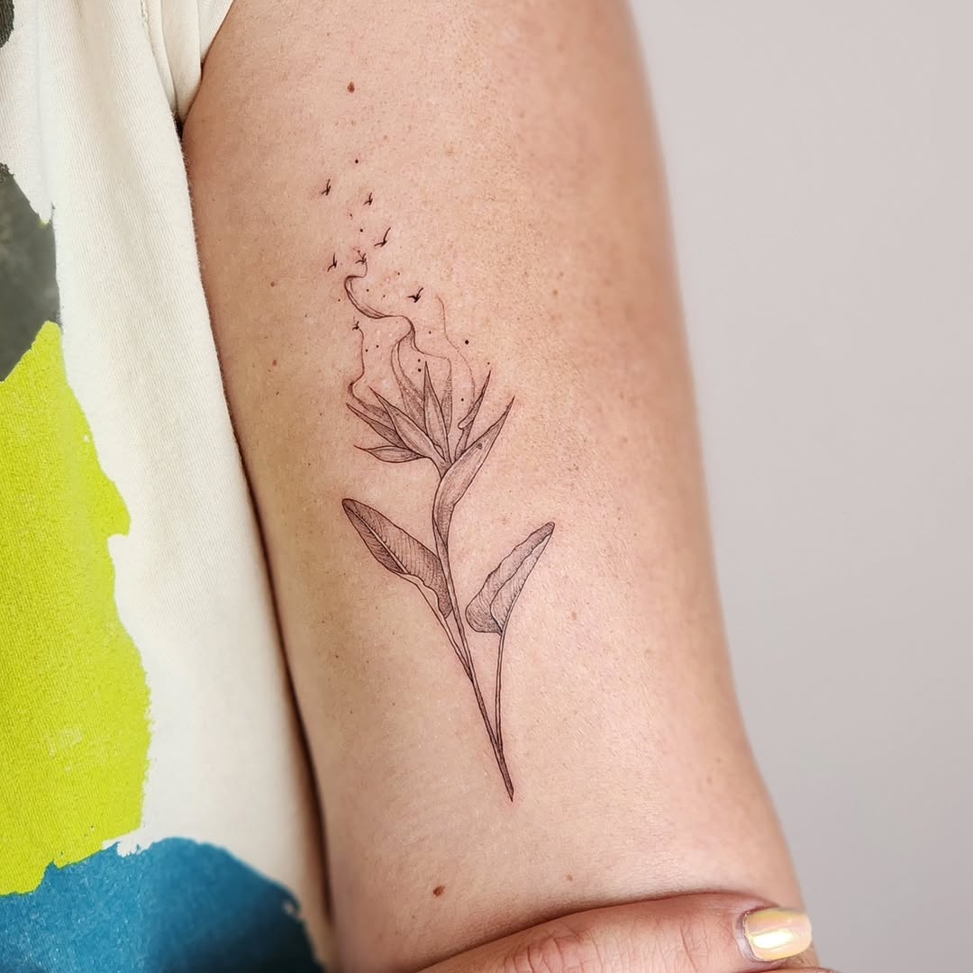 Tattoo by @dsilvatattoo — fine_line, illustrative