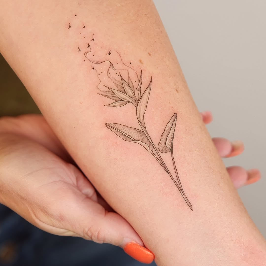 Tattoo by @dsilvatattoo — fine_line, illustrative