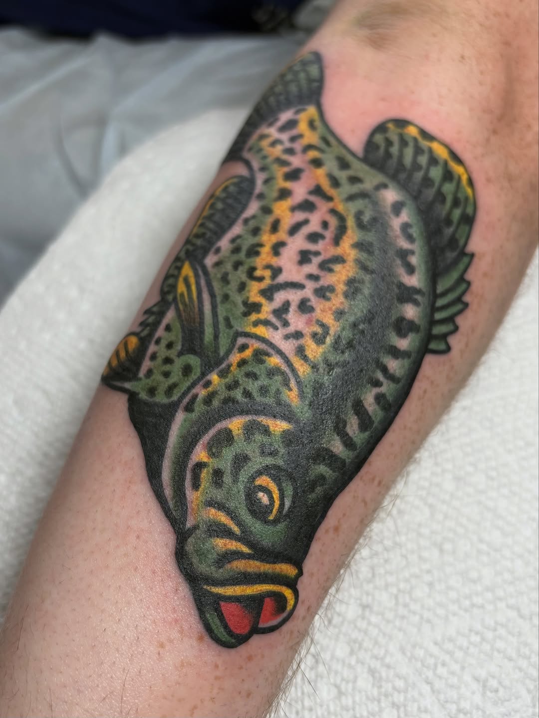 Tattoo by @jaketat2herbert — american_traditional