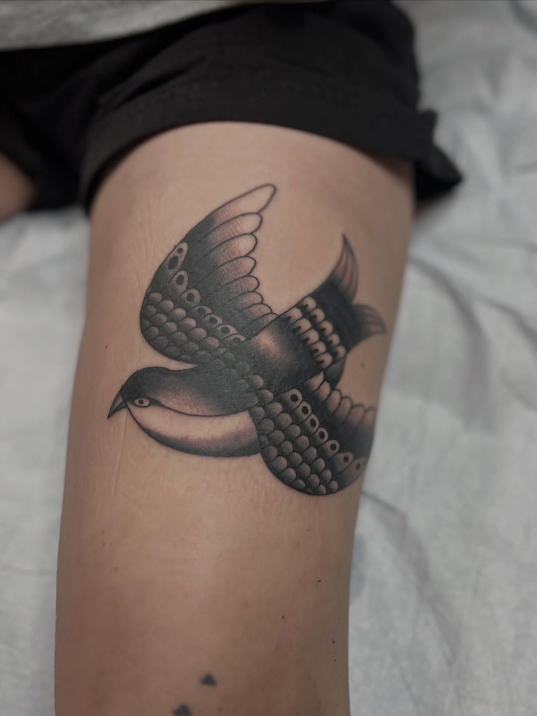 Tattoo by @david_tattselhoff — american_traditional