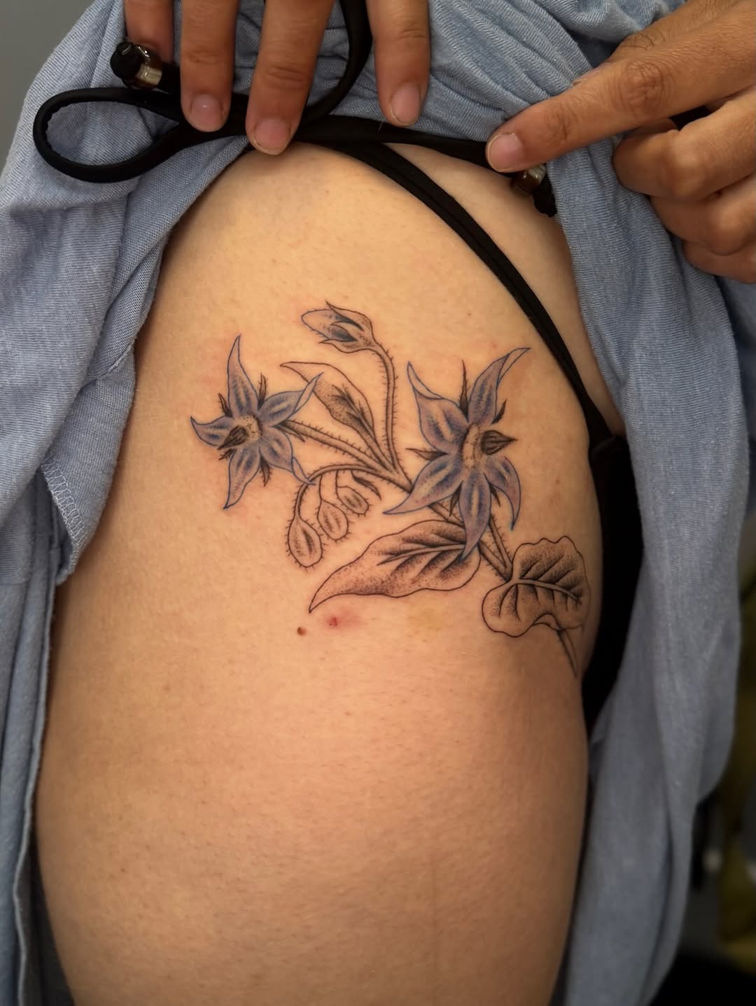 Tattoo by @figsandfossils — black_and_grey