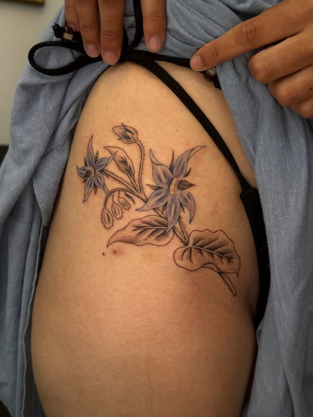 Tattoo by @figsandfossils — black_and_grey