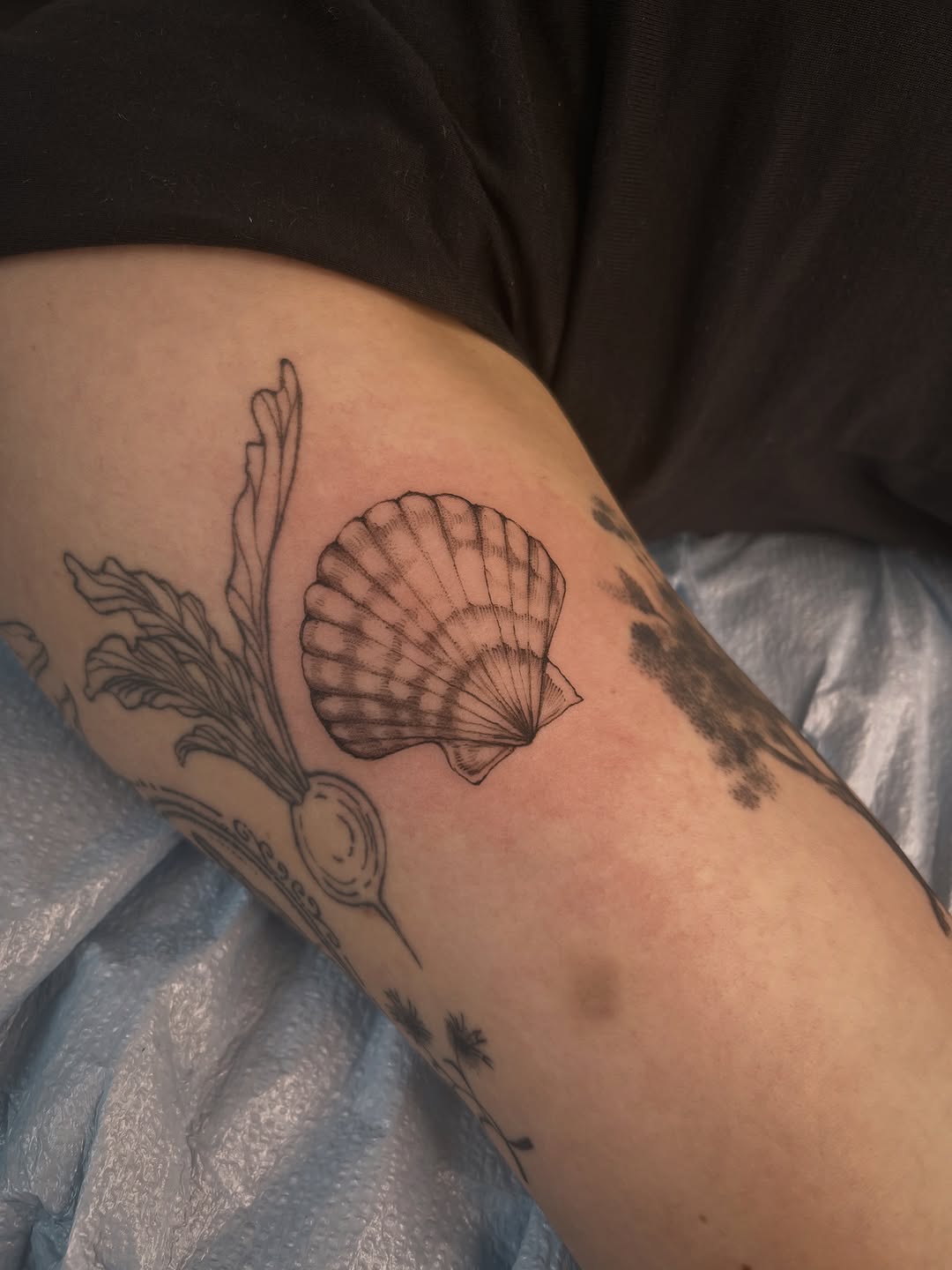 Tattoo by @crispyorchids — fine_line, illustrative