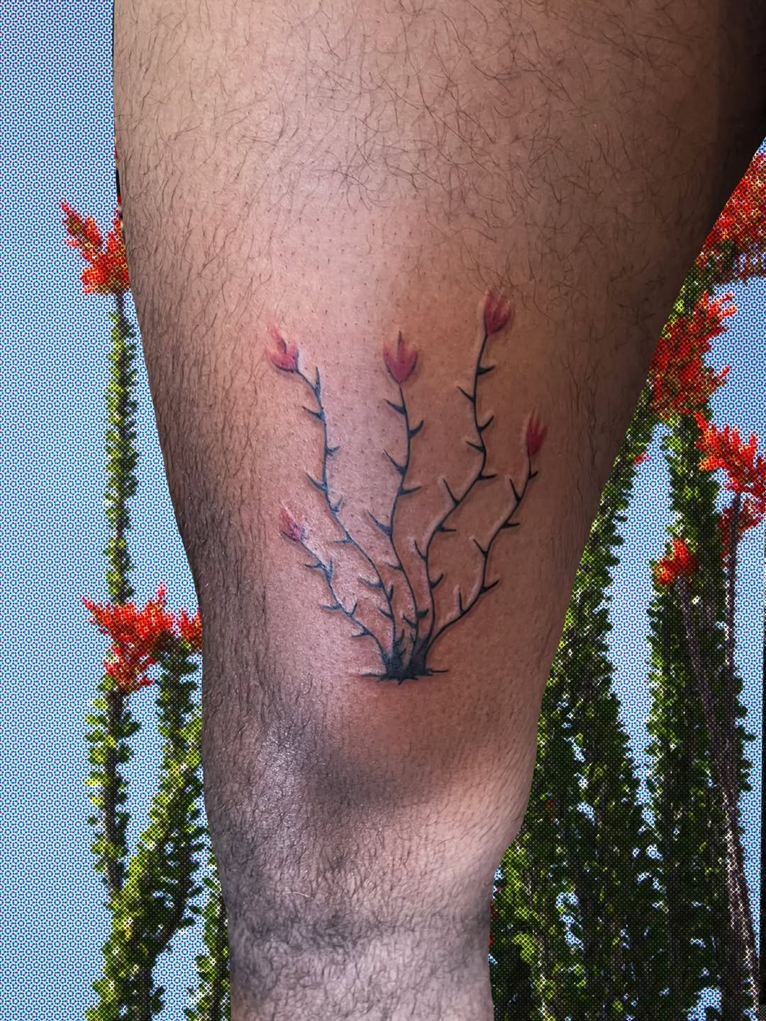 Tattoo by @bloodnfate — fine_line, black_and_grey