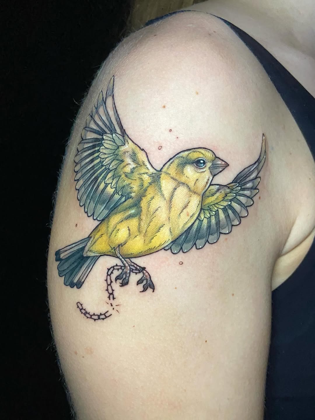 Tattoo by @dawncarrtattoos — illustrative, realism