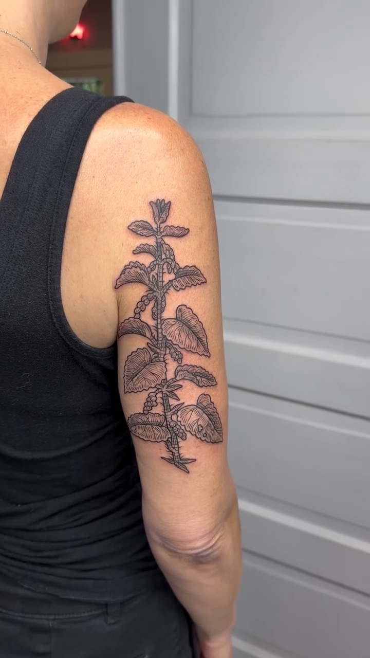 Tattoo by @taylorbeetattoo β fine_line