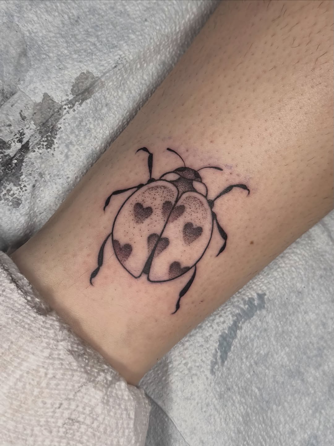 Tattoo by @allyghastly — fine_line, dotwork