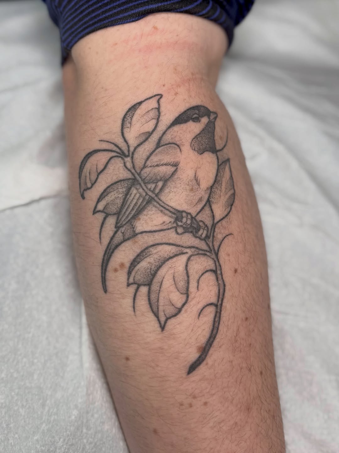 Tattoo by @allyghastly — black_and_grey, fine_line