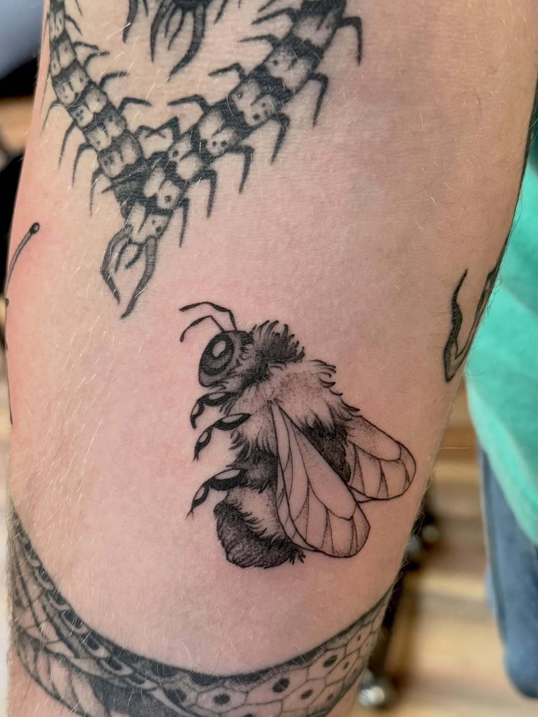 Tattoo by @katiestacytattoo — black_and_grey