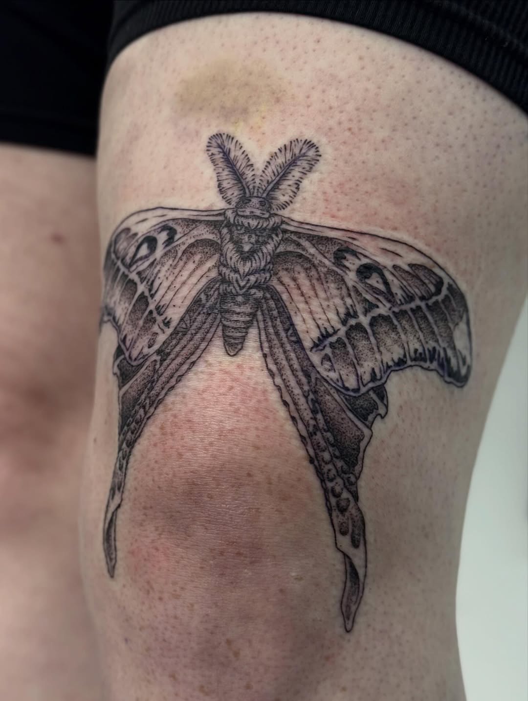 Tattoo by @writhingdirty — black_and_grey, illustrative
