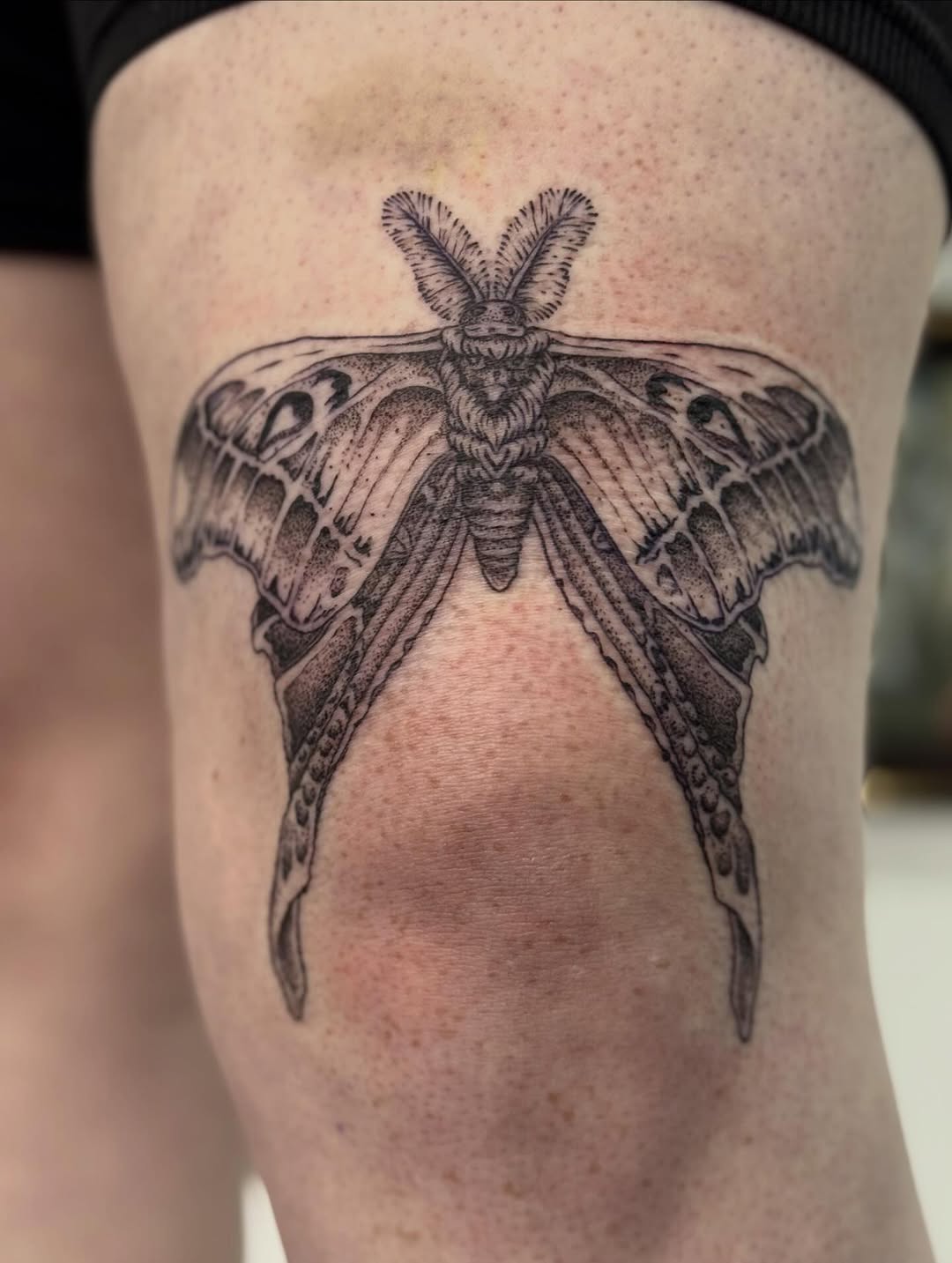 Tattoo by @writhingdirty — illustrative, dotwork