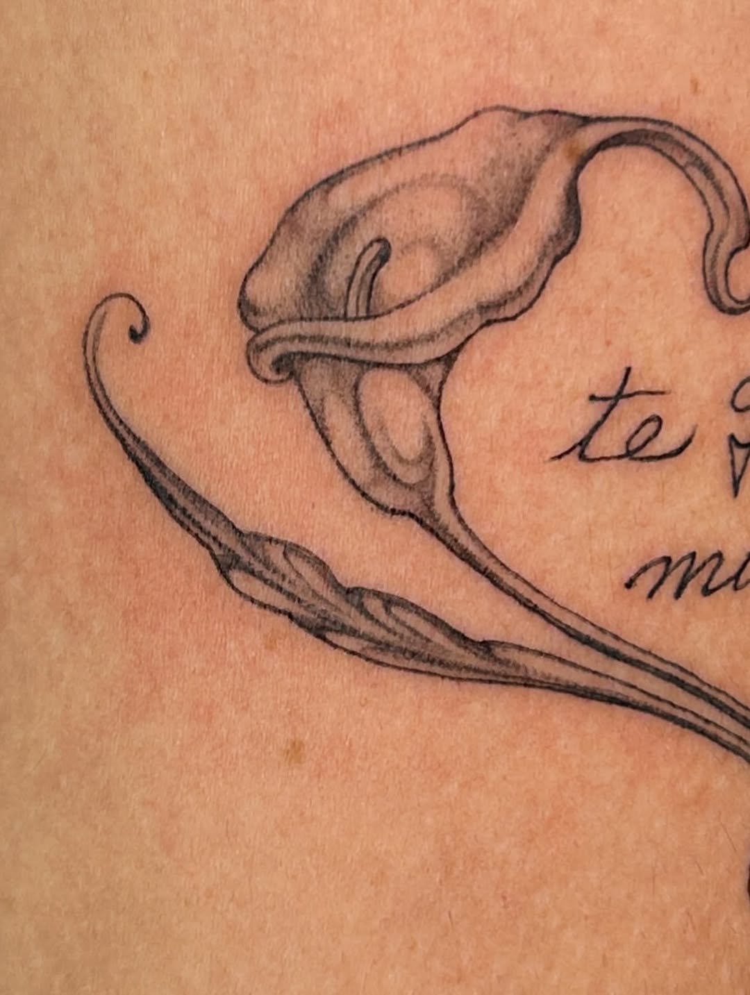 Tattoo by @late_bloom3r โ fine_line, black_and_grey