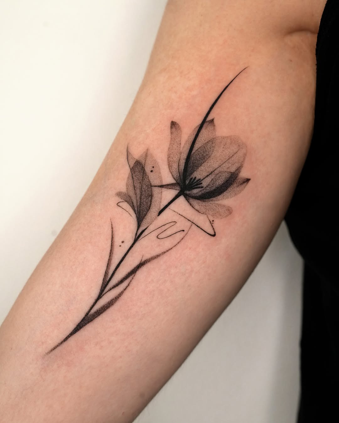 Tattoo by @tattooer_r.tee — fine_line, black_and_grey