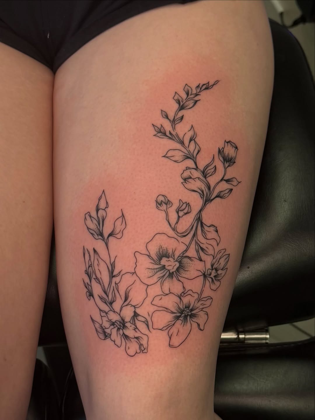 Tattoo by @tattooer_haylie — fine_line, illustrative