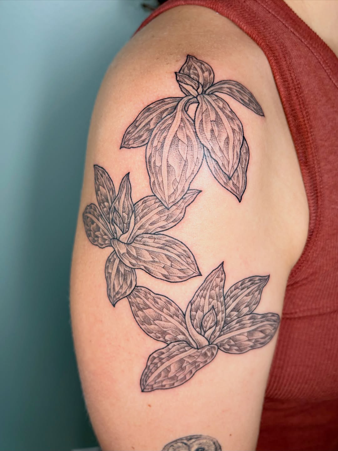 Tattoo by @drawingplantsandthings — black_and_grey