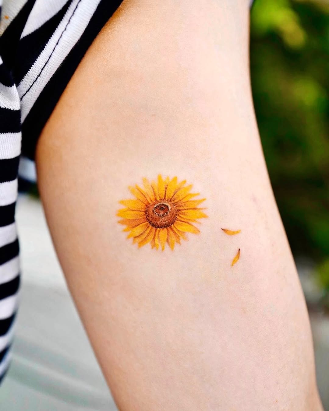Tattoo by @himi.tattoo โ fine_line, realism