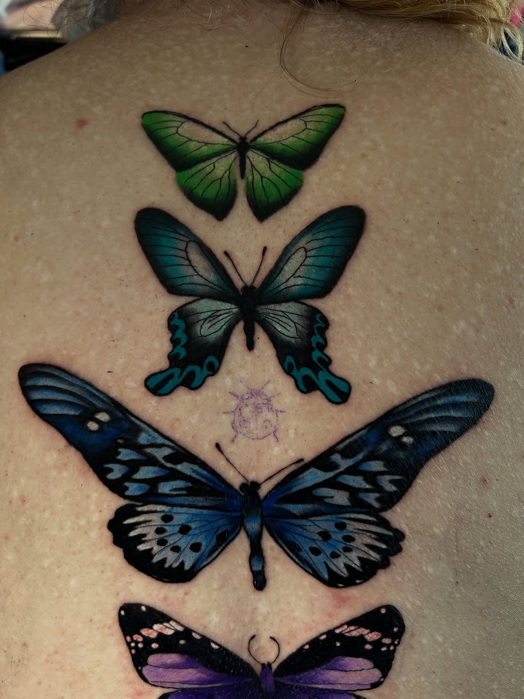 Tattoo by @vanessa.kendyll — realism, color