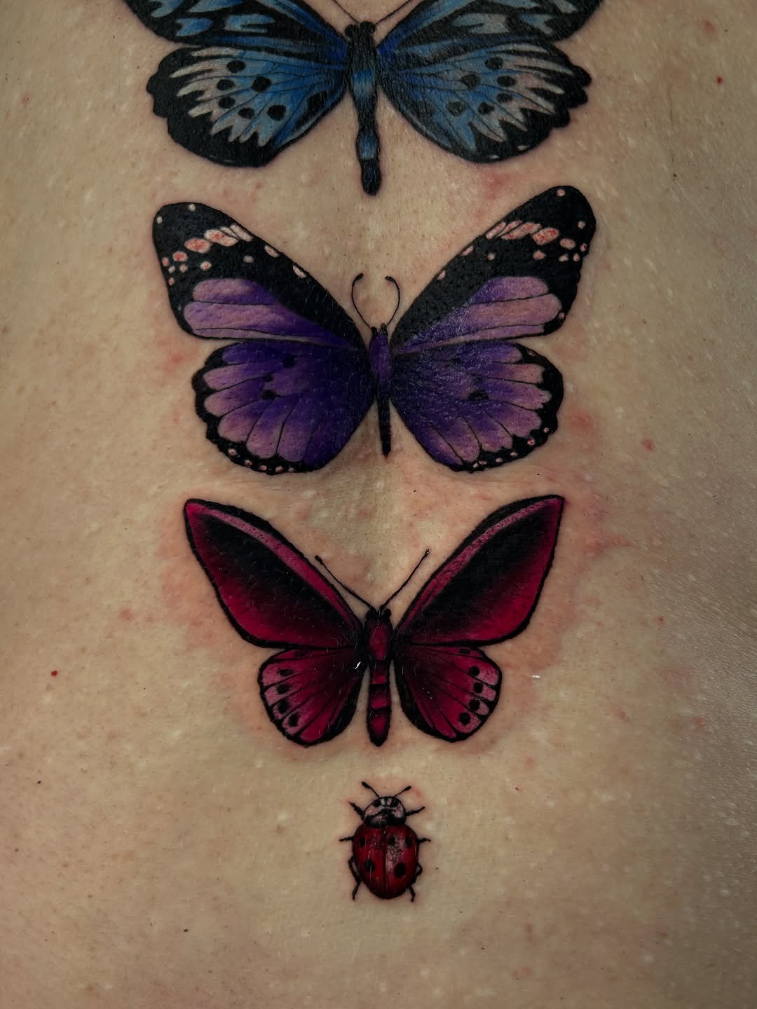 Tattoo by @vanessa.kendyll — realism, color
