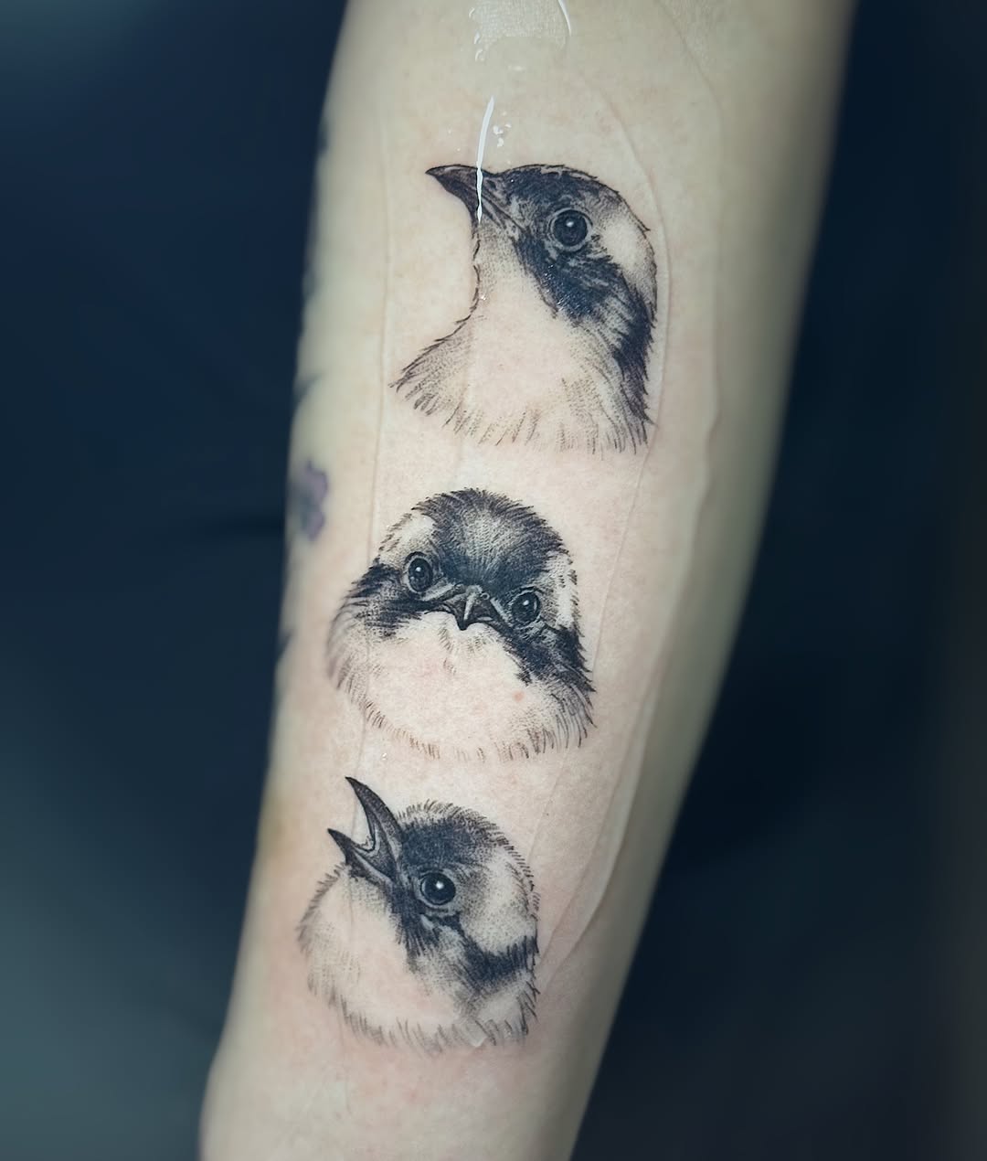 Tattoo by @ict_tattoo — realism, black_and_grey