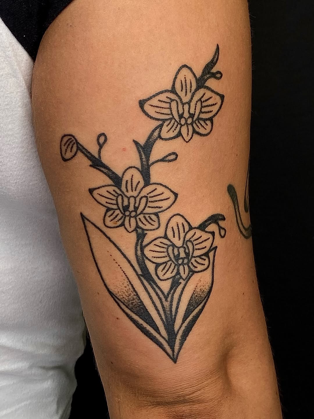 Tattoo by @cluelesstattoos — illustrative, black_and_grey