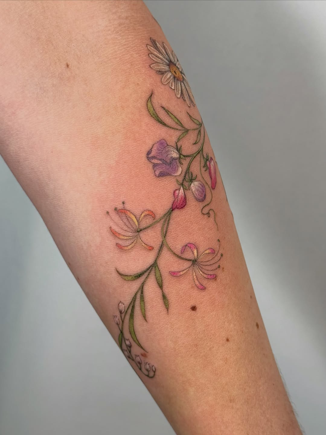 Tattoo by @larkrestattoos — fine_line, watercolor