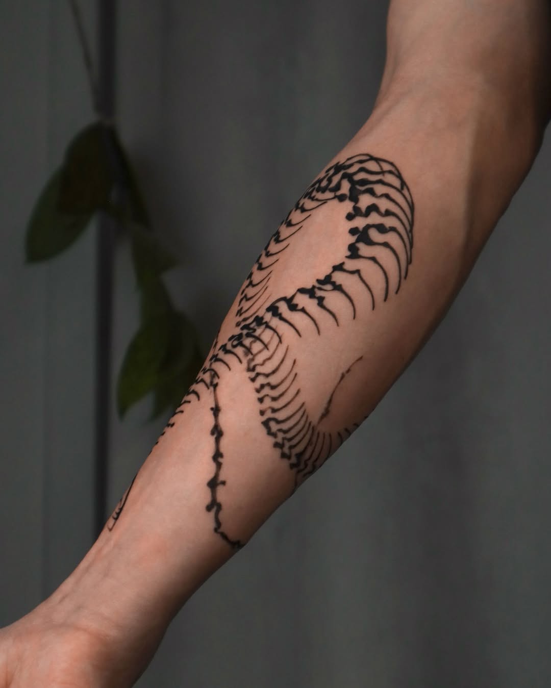 Tattoo by @rivdttt β illustrative, blackwork
