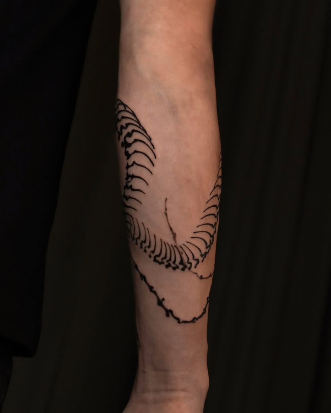 Tattoo by @rivdttt β illustrative, blackwork