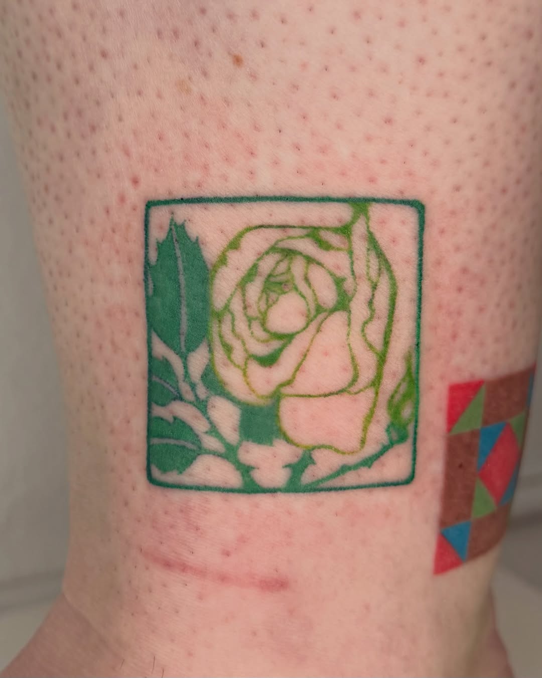Tattoo by @sensitive.chaos.tattoo — fine_line, illustrative