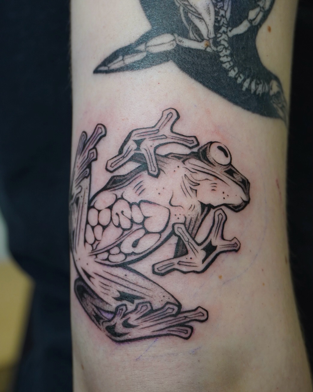 Tattoo by @scaredy.cat.tatts — black_and_grey, illustrative