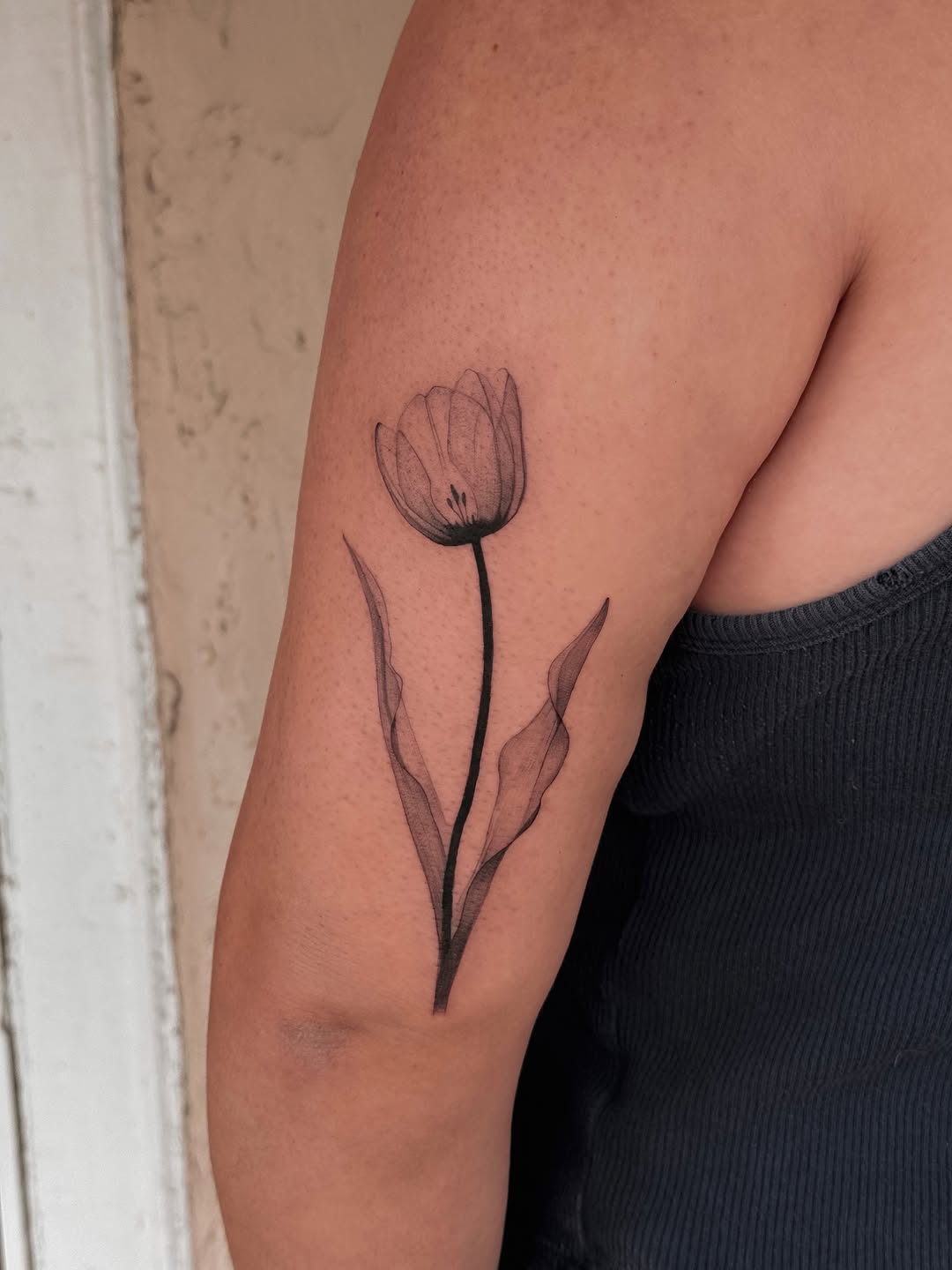 Tattoo by @cailintattoos — fine_line, illustrative
