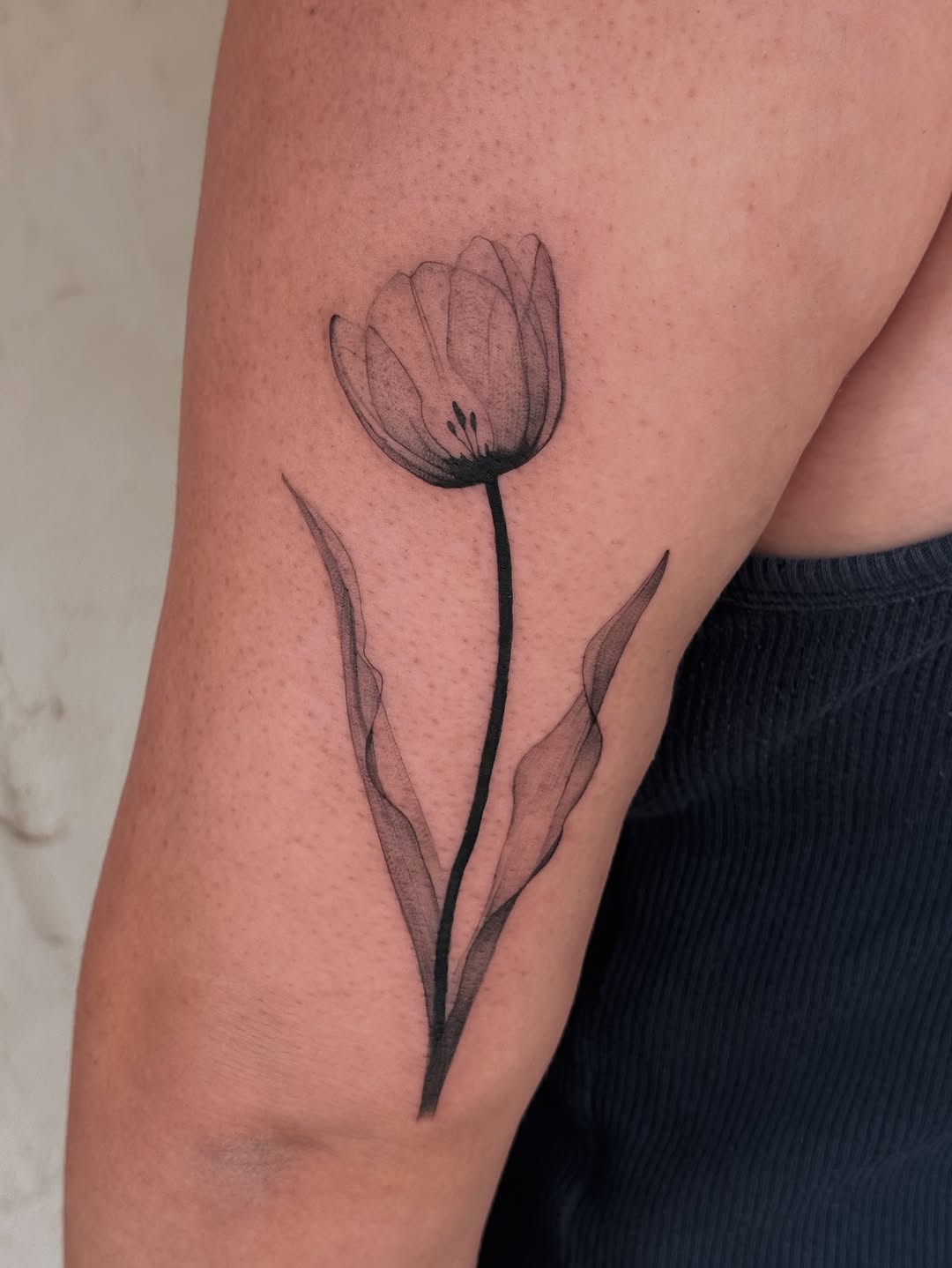 Tattoo by @cailintattoos — fine_line, illustrative