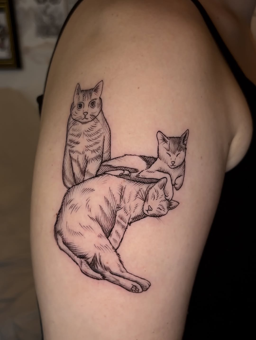 Tattoo by @maribeth.tattoo — illustrative, black_and_grey