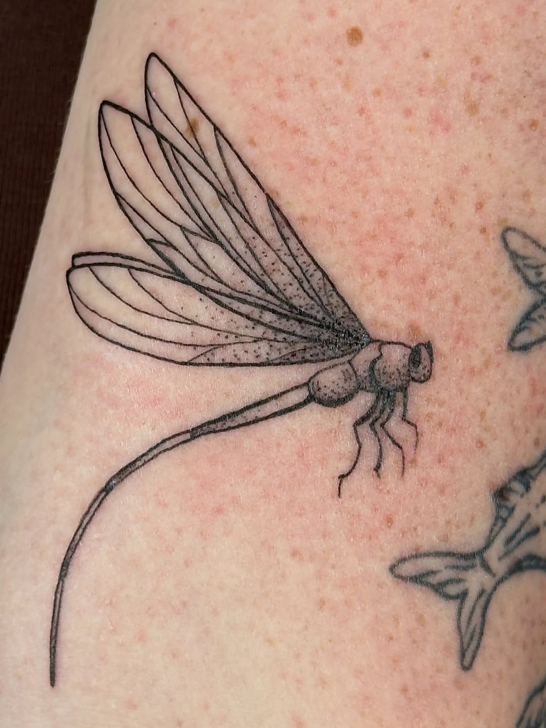 Tattoo by @rae.inkss — fine_line, illustrative