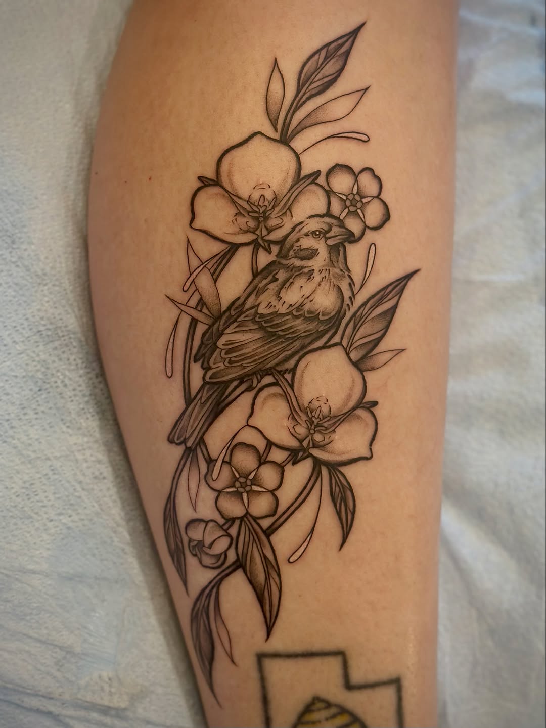 Tattoo by @maddiemorrill_art β illustrative, black_and_grey