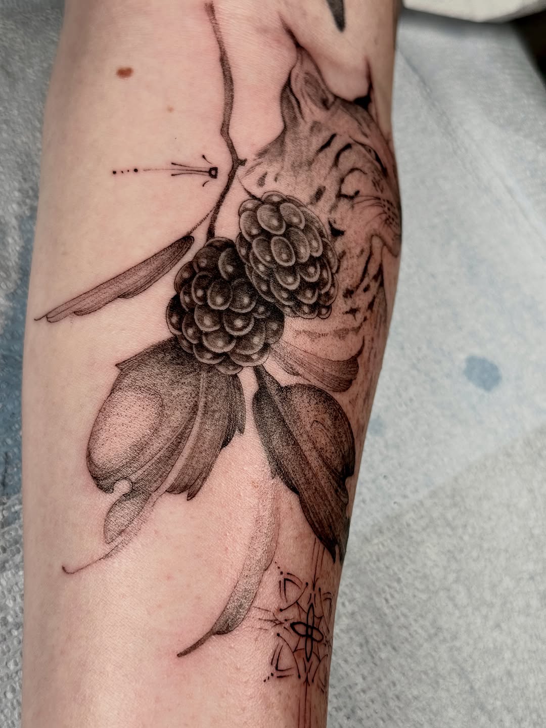 Tattoo by @mollymurrayink — black_and_grey, realism