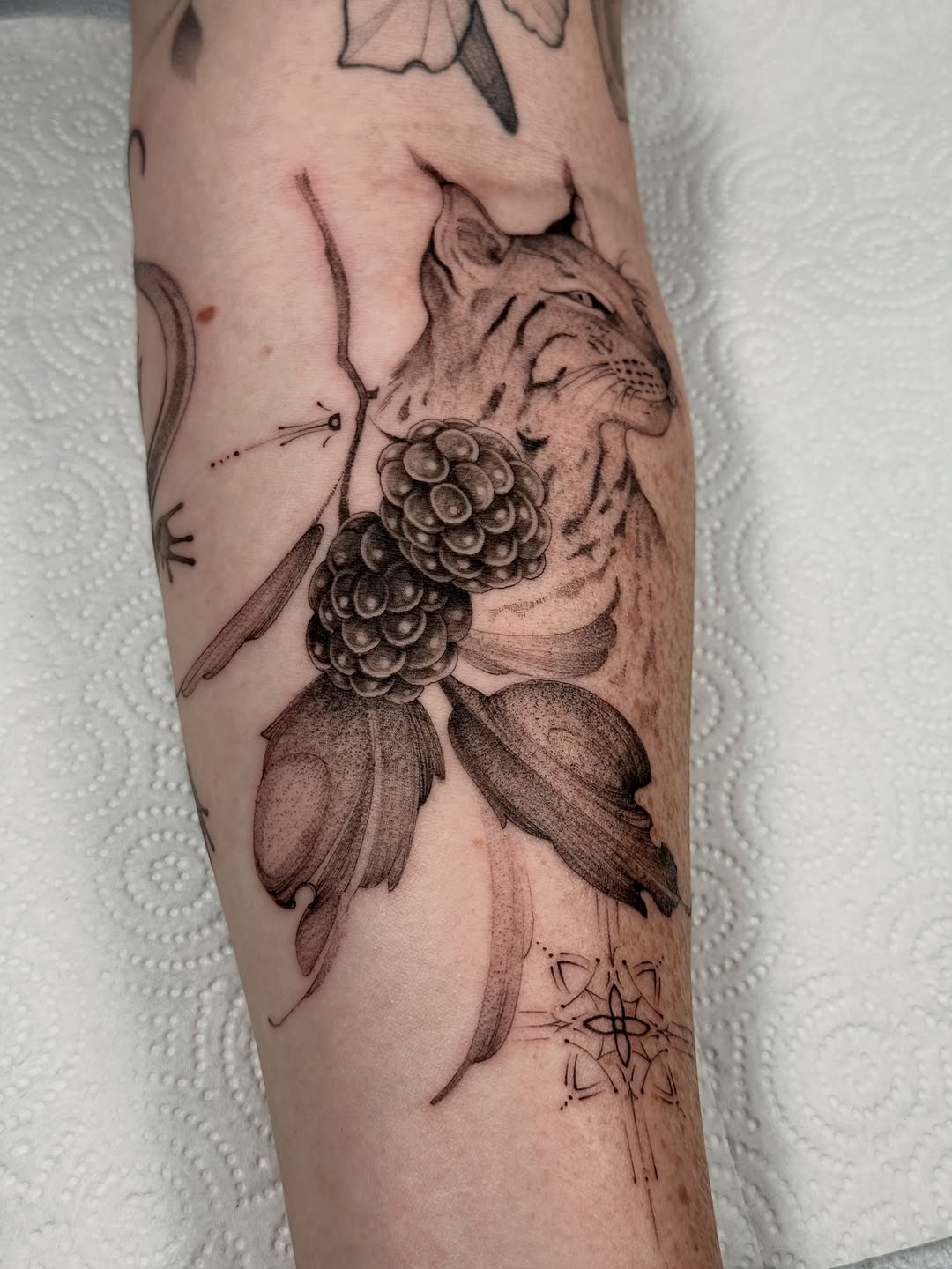 Tattoo by @mollymurrayink — illustrative, dotwork