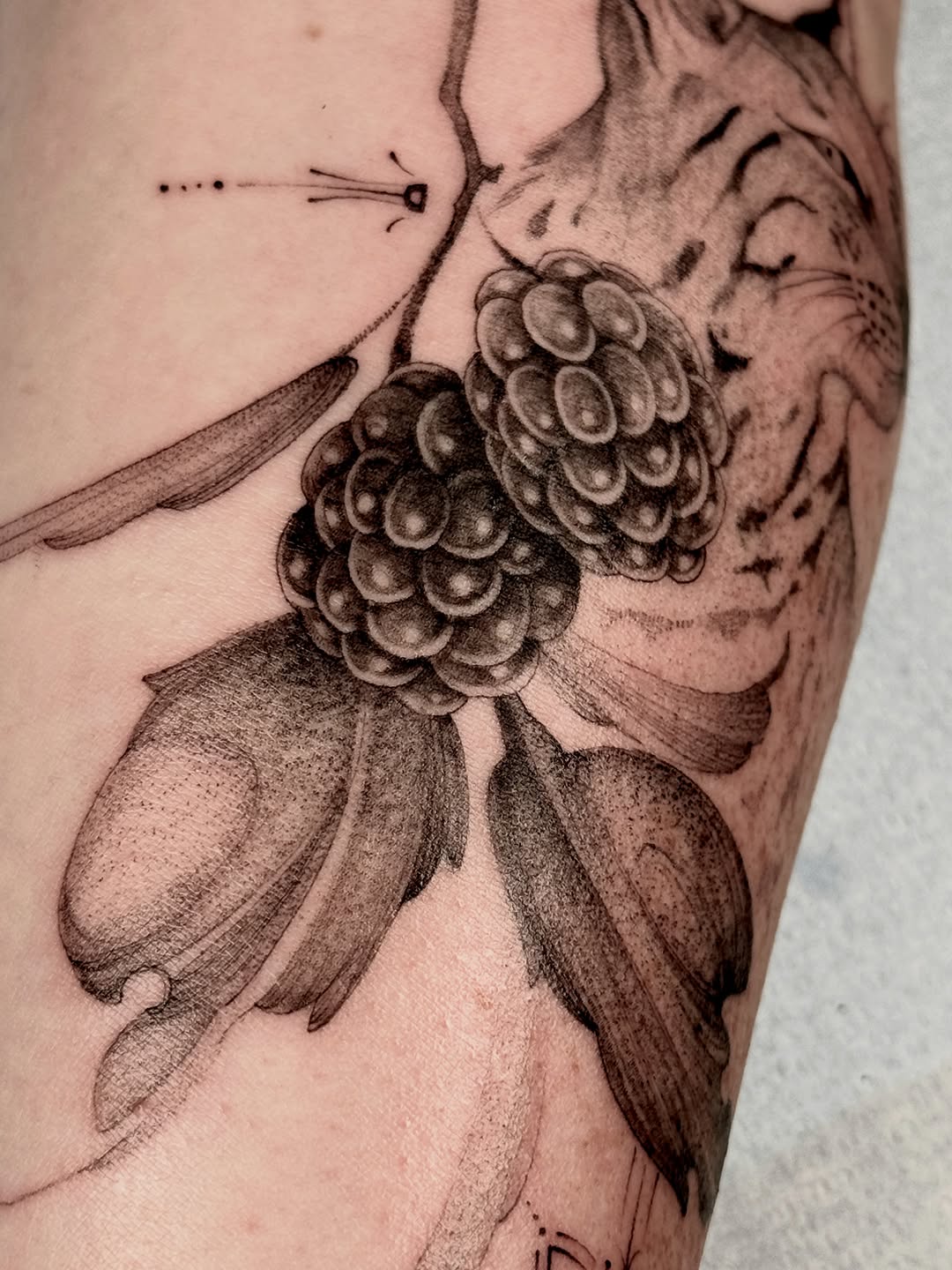 Tattoo by @mollymurrayink — black_and_grey, realism