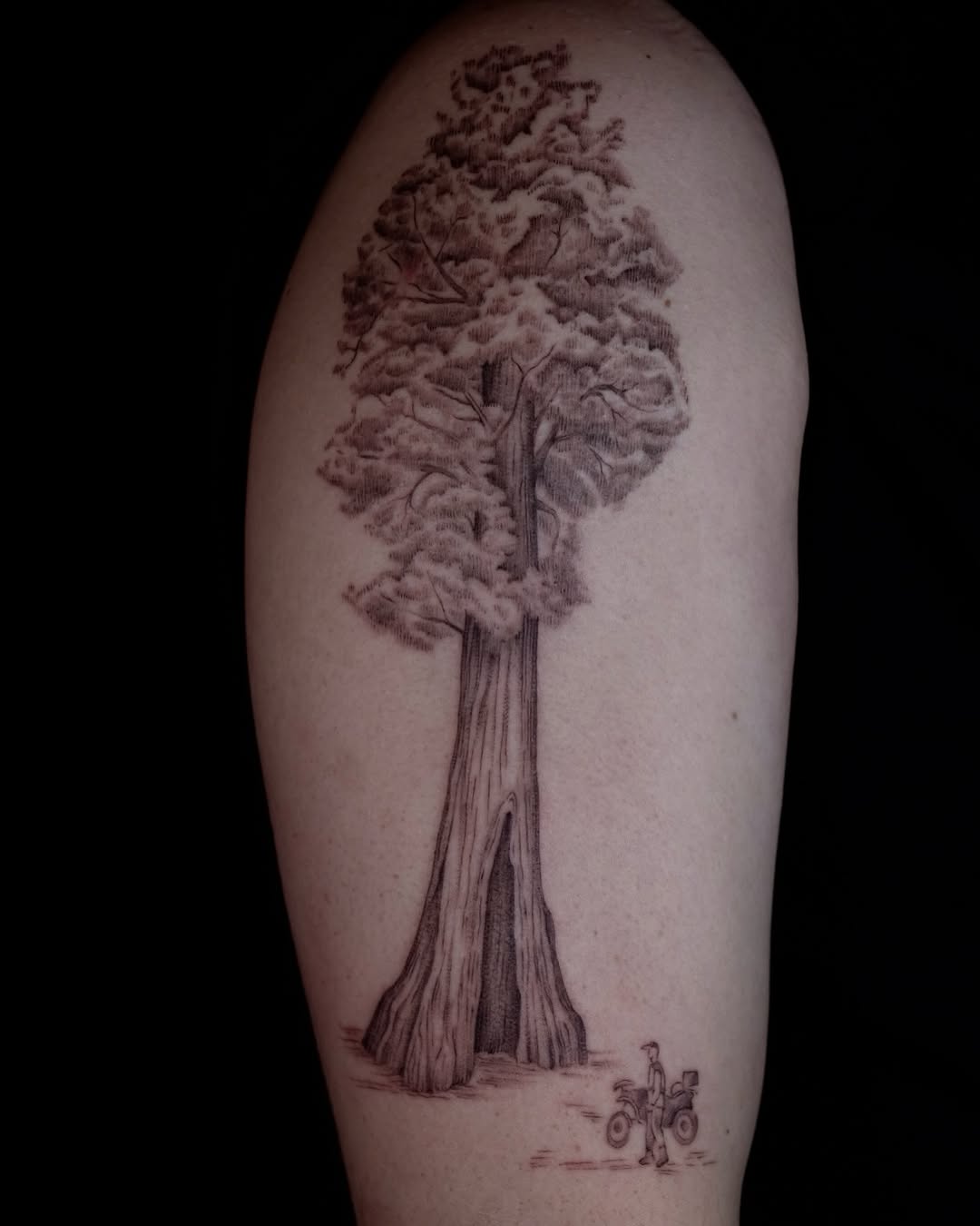 Tattoo by @sunpersimmon.tattoo — realism, black_and_grey