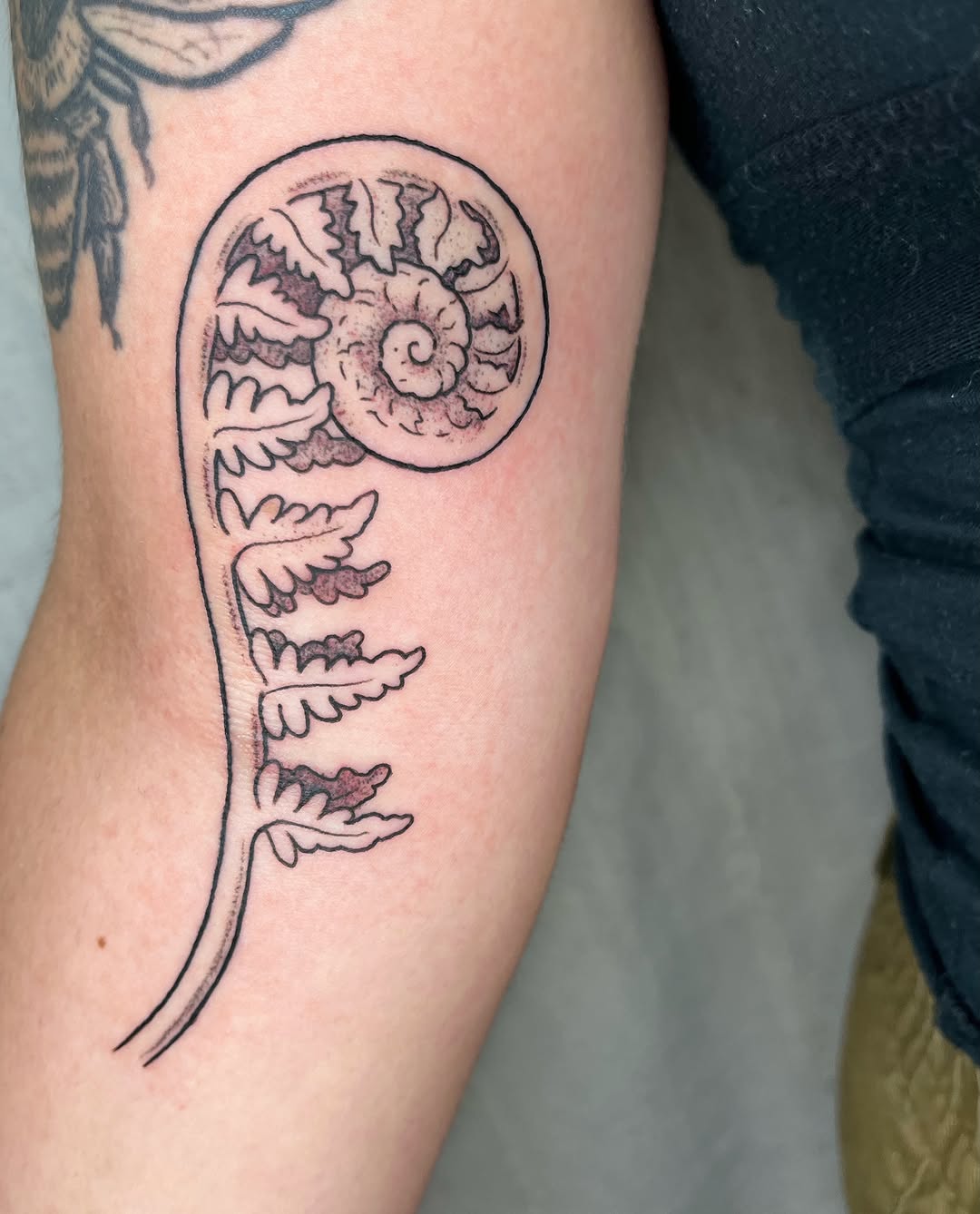 Tattoo by @maris_hare — dotwork